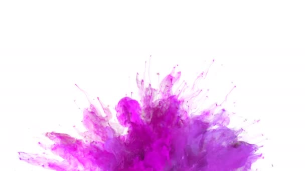 Magenta roze kleur Burst - kleurrijke rook explosie vloeistof deeltjes slowmotion alpha mat geïsoleerd op wit — Stockvideo