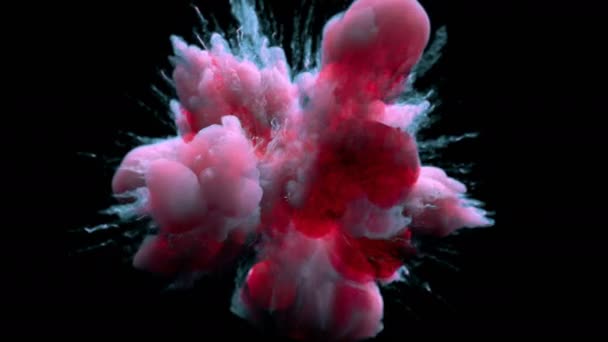 Pink Blue Color burst színes füstpor robbanás folyadék tinta részecskék alfa