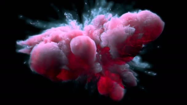 Ροζ μπλε έκρηξη χρώμα-πολύχρωμο καπνό σκόνη υγρού μελανιού άλφα Ματ — Αρχείο Βίντεο