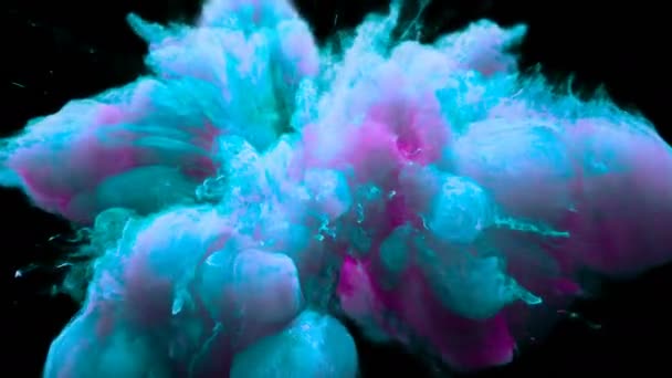 Blau rosa Farbe platzte bunt Rauchpulver Explosion Flüssigkeit Tinte Partikel Alpha — Stockvideo