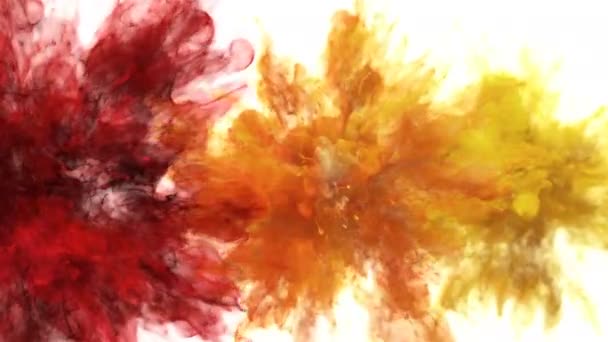 Red Orange Yellow Color Burst - Multiple colorful smoke explosions fluid alpha — Stock Video