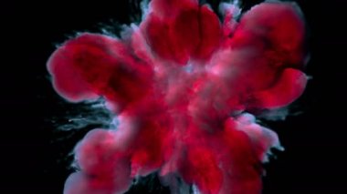 Kırmızı pembe renk Burst renkli duman tozu patlama sıvı mürekkep parçacıkları Alfa