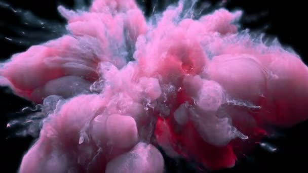 Розовый синий цвет Взрыв красочный взрыв дыма порошок частицы жидкости чернил альфа — стоковое видео
