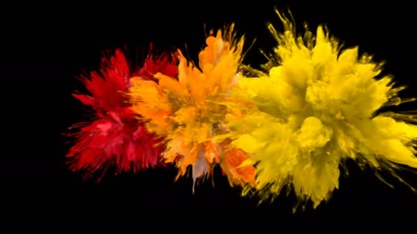 Color Burst Flere farverige røg eksplosioner væske partikler alpha mat – Stock-video