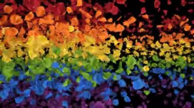 Uçan Romantik yanardöner renkli gökkuşağı Gül Çiçeği Yaprakları Alfa geçiş