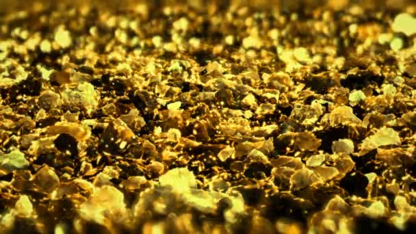 Golden Shiny glitter lazo sin costura textura abstracta primer plano macro fondo — Vídeos de Stock