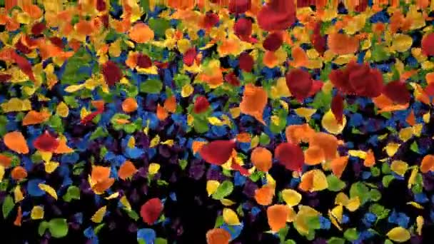 Fliegende romantische schillernde bunte Regenbogen-Rosenblütenblätter Alpha-Übergang — Stockvideo