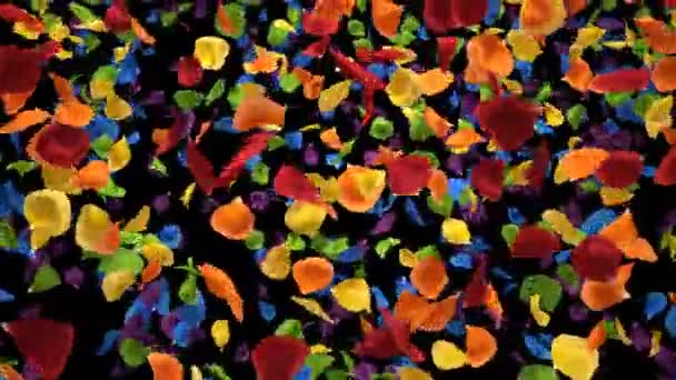 Volare Romantico iridescente colorato arcobaleno Rose Flower Petals Alpha Loop — Video Stock