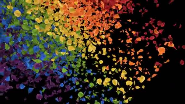 フライングロマンチック虹色の虹ローズフラワー花びらアルファ遷移 — ストック動画