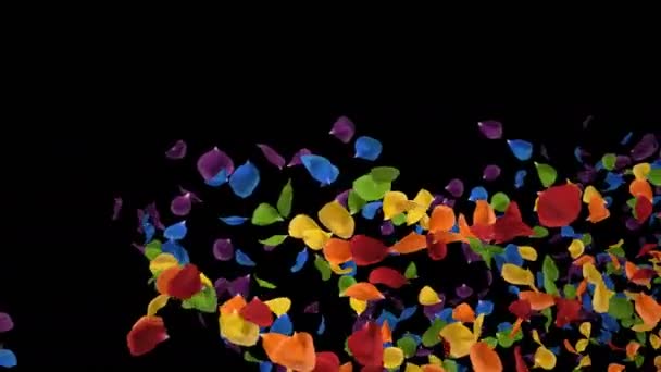 Flygande romantisk iriserande färgglada Rainbow Rose Flower kronblad alpha loop — Stockvideo