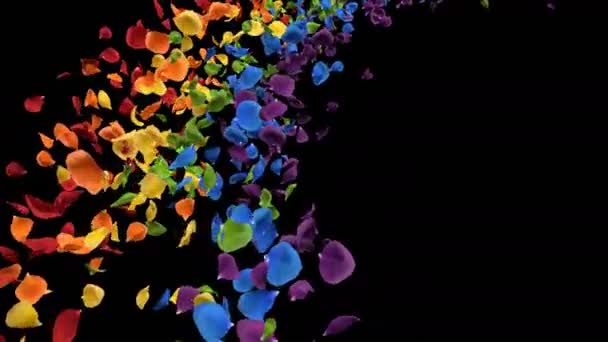 Volare Romantico iridescente colorato arcobaleno Rose Flower Petals Alpha Loop — Video Stock