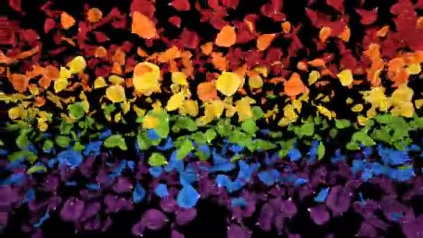 Vliegende romantische iriserende kleurrijke Rainbow Rose Flower bloemblaadjes alpha loop — Stockvideo