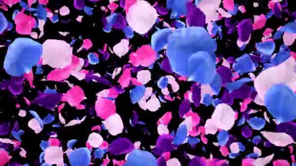 Flying романтичний яскраві барвисті пелюстки троянди падіння альфа перехід — стокове відео