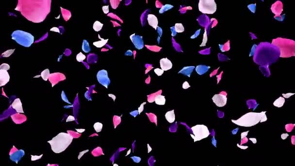 비행 로맨틱 활기찬 화려한 장미 꽃 잎 떨어지는 알파 고립 루프 — 비디오