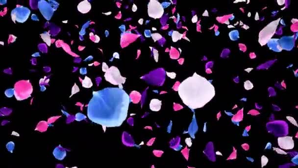 Літаюча романтична яскрава барвиста троянда пелюстки падаюча альфа ізольована петля — стокове відео