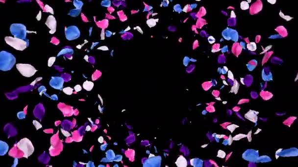 Ιπτάμενες ρομαντικές ζωηρά πολύχρωμα πέταλα Rose λουλούδι πτώση άλφα απομονωμένη βρόχο — Αρχείο Βίντεο