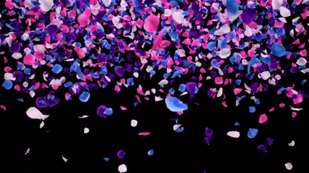 Létající romantická pulzující pestrobarevné růžové květy padající alfa — Stock video