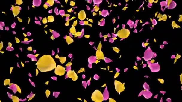 Flying Romántico amarillo rosa rosa pétalos de la flor que cae Alpha aislado Loop — Vídeo de stock
