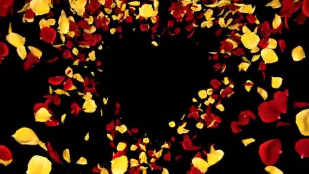 Πετώντας ρομαντικό κίτρινο κόκκινο τριαντάφυλλο λουλούδι πέταλα καρδιά απομόνωσα βρόχο — Αρχείο Βίντεο