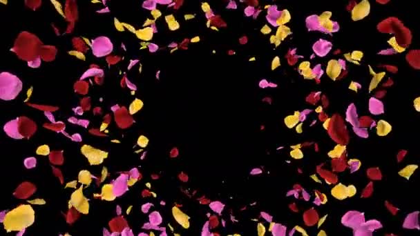 飞行浪漫充满活力的五颜六色的玫瑰花瓣下降阿尔法隔离环 — 图库视频影像