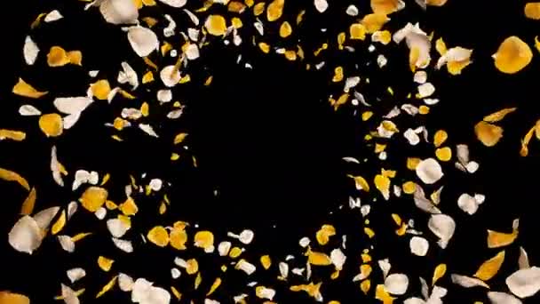 フライングロマンチックな黄色の白いバラの花の花びらがアルファ孤立したループを落ちる — ストック動画