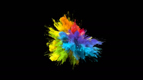 Колір Вибух райдужний різнокольоровий веселковий порошок вибуху частинок чорнила рідини — стокове відео