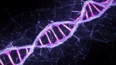 Hareket Arka Plan Dijital Pleksus Dna molekül iplikçik 4k Loop pembe mor mor menekşe