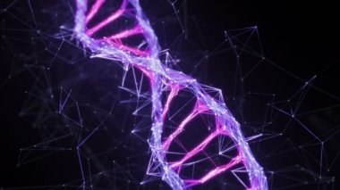 Hareket Arka Plan Dijital Pleksus Dna molekül iplikçik 4k Loop pembe mor mor menekşe