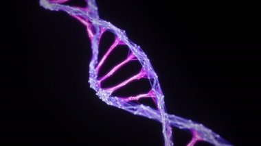 İzole edilmiş Dijital Pleksi DNA molekülü iplik pembe mor mor mor alfa matte
