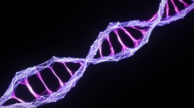 İzole edilmiş Dijital Pleksi DNA molekülü iplik pembe mor mor mor alfa matte