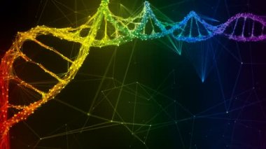 Yanardöner gökkuşağı Dijital Pleksus Dna molekül iplikçik renkli Döngü Arka Plan