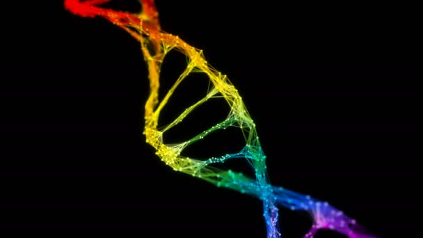 Isolated Iridescent rainbow Digital Plexus DNA molecule strand colorful Loop — Stock Video