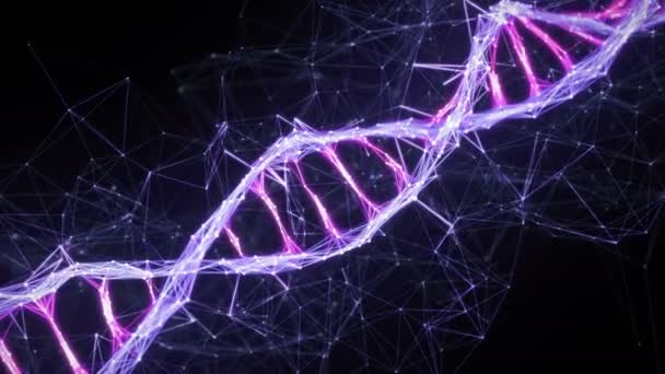 Motion Background Digital Plexus DNA molecule strand 4k Loop pink purple violet — Stock Video