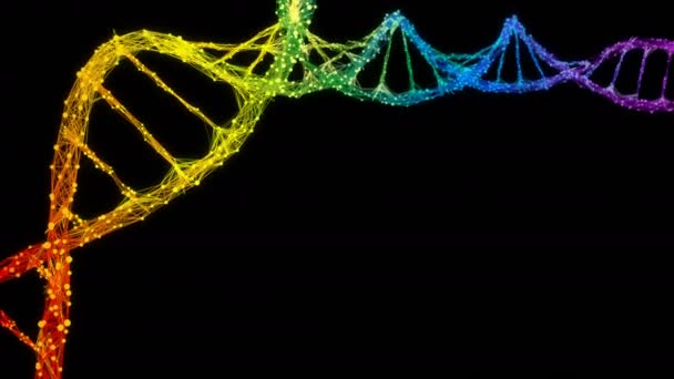 Geïsoleerde iriserende Rainbow digitale plexus DNA molecuul strand kleurrijke lus — Stockvideo