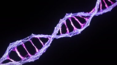 İzole ikili Dijital Pleksus Dna molekül iplikçik Loop pembe mor mor alfa