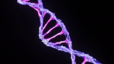 İzole ikili Dijital Pleksus Dna molekül iplikçik Loop pembe mor mor alfa