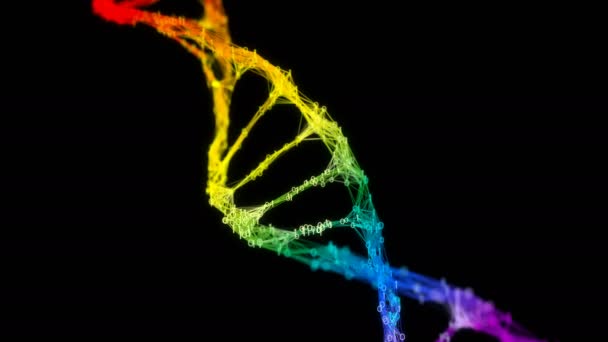 Isolado Iridescente arco-íris binário Digital Plexo DNA molécula cadeia colorido — Vídeo de Stock