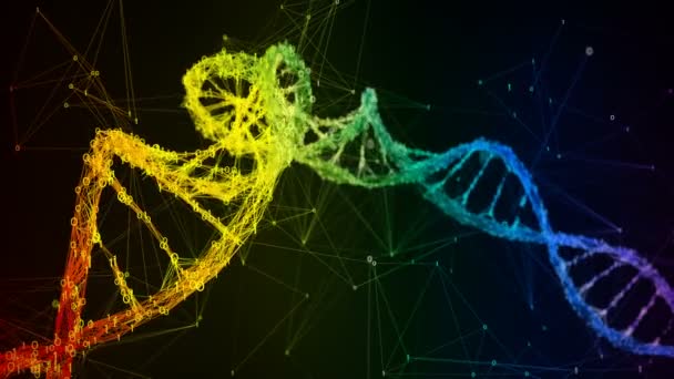 Arc-en-ciel irisé binaire molécule d'ADN numérique brin coloré fond de boucle 