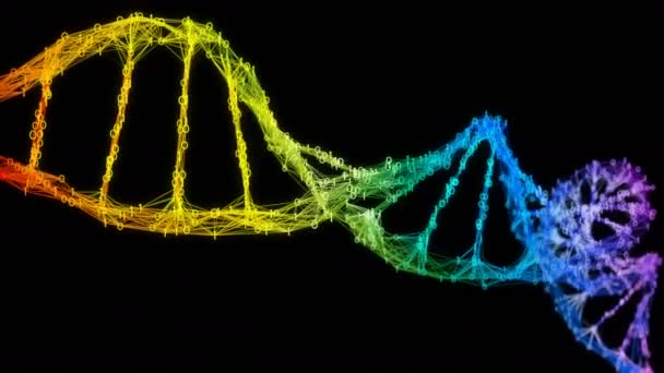 Isolato Iridescente arcobaleno binario Digital Plexus DNA molecola filo colorato — Video Stock