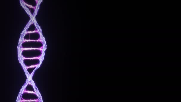 単離されたバイナリデジタルプレクサスDNA分子鎖ループピンク紫紫色アルファ — ストック動画