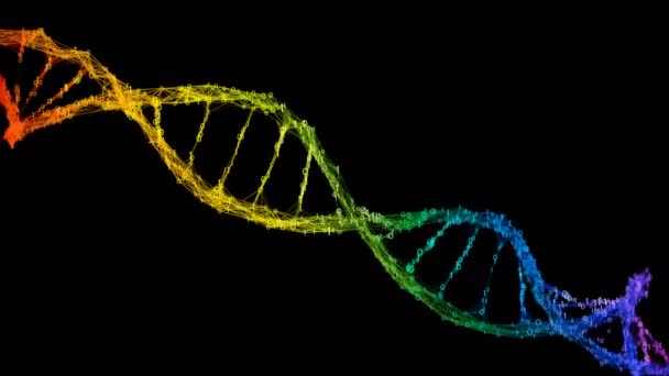 고립 된 무지개 무지개 바이너리 디지털 플렉서스 DNA 분자 가닥 다채로운 — 비디오