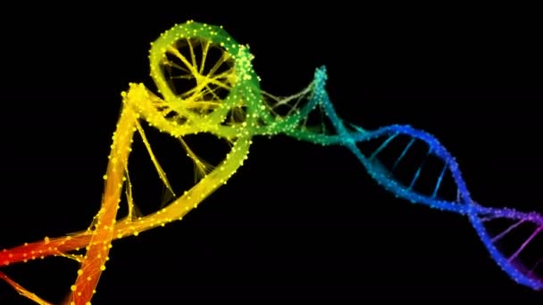 Ізольована райдужна веселка Цифрова полігональна молекула ДНК ланцюг барвиста петля — стокове відео