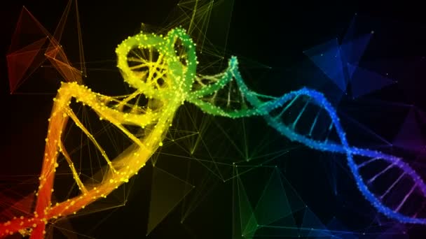 무지개 무지개 디지털 다각형 DNA 분자 가닥 다채로운 루프 배경 — 비디오