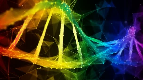 Iridescente arco iris Digital polígono ADN molécula hebra colorido lazo fondo — Vídeo de stock