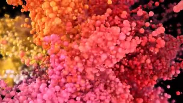 Burbuja Burst - bolas de espuma de colores globos esferas explosión alfa mate — Vídeo de stock