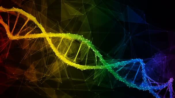 Iridescente arco iris Digital polígono ADN molécula hebra colorido lazo fondo — Vídeo de stock