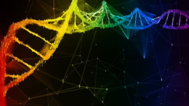 Iridescente arco-íris binário polígono Digital DNA molécula colorido Loop fundo — Vídeo de Stock