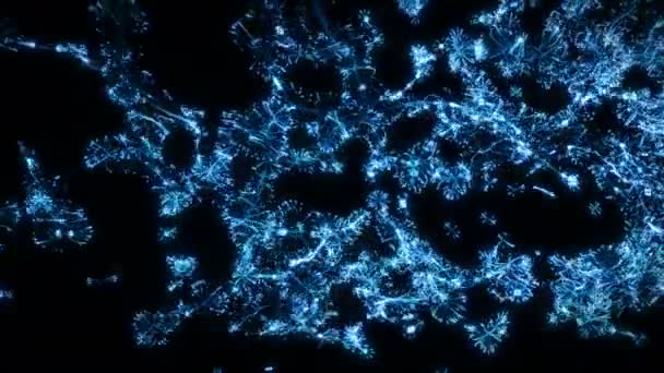 Kék absztrakt digitális alagút tölcsér mesterséges intelligencia neurális hálózat hurok — Stock videók