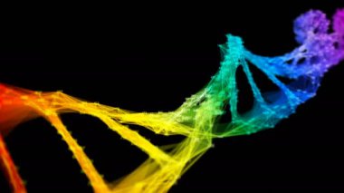 İzole edilmiş gök kuşağı rastgele parmaklar Plexus DNA molekülü renkli 4k