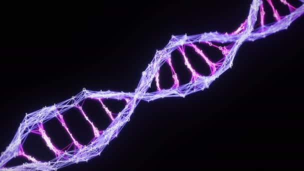 二进制数字丛DNA链4k环粉红色紫色紫色 — 图库视频影像